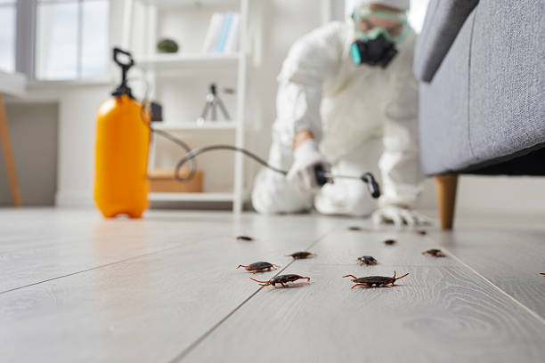 Commercial Kitchen Cockroach Control in Rohnert Park